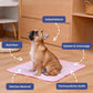 🔥Venta de Verano 50% de Descuento🧊Alfombrilla Refrigerante Premium Para Mascotas