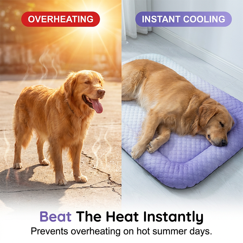 💖LAST DAY SALE ONLY￡7.99!!❄Pawchill™🇬🇧Pet Cooling Mat for Dogs & Cats 🐾 Naturally Cool Ice-Silk Pad • Breathable, Washable & Soft 🌿  For Floors, Sofas & Car Travel • Multiple Sizes • Gradient Colours ☀️🐶🐱