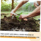 2026 New Crack Weeder Tool Crevice Cleaning Tool
