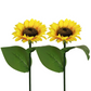 🌻Luces LED Solares para Jardín con Estaca de Girasol