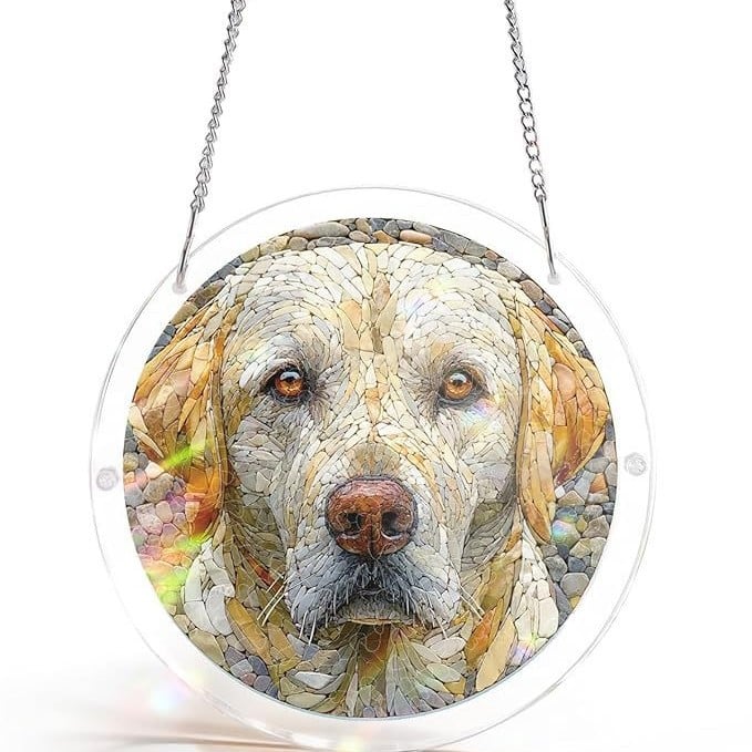 🔥LAST DAY 49% OFF ☀️🛍️Acrylic Jigsaw Puzzle Suncatcher 80 Pieces