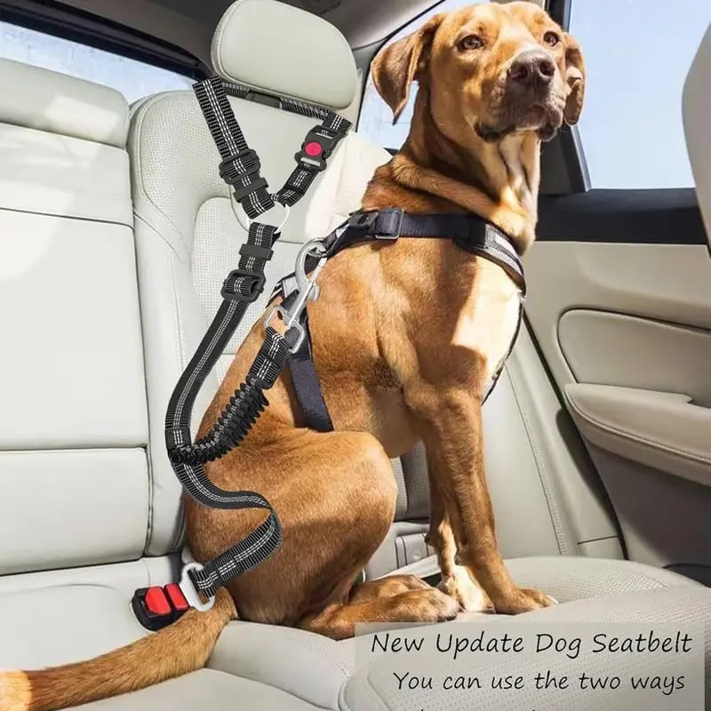 🐱🐶 2-Pack Pet Seatbelts – Car Headrest Restraint, Adjustable Safety Leads