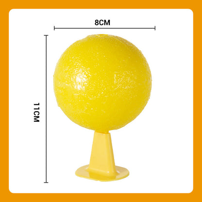 ⌛🔥Sticky Fruit Fly Trap Ball with Stand & LED