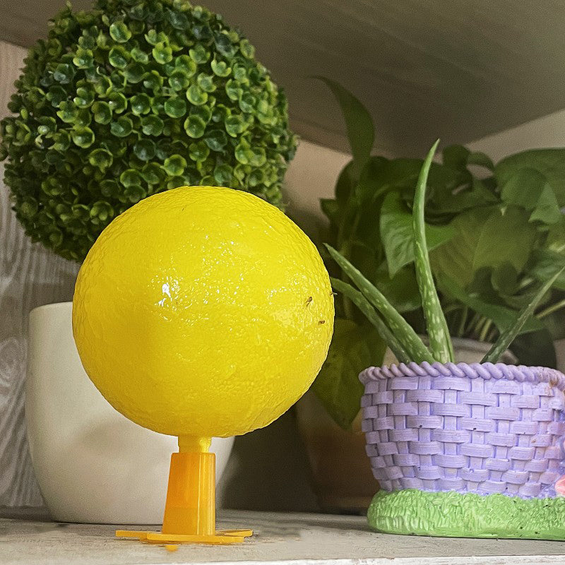 ⌛🔥Sticky Fruit Fly Trap Ball with Stand & LED