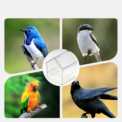 🌟 Shopping Frenzy: Entire Store 50% OFF🔥Pull-Out External Parrot Feeder