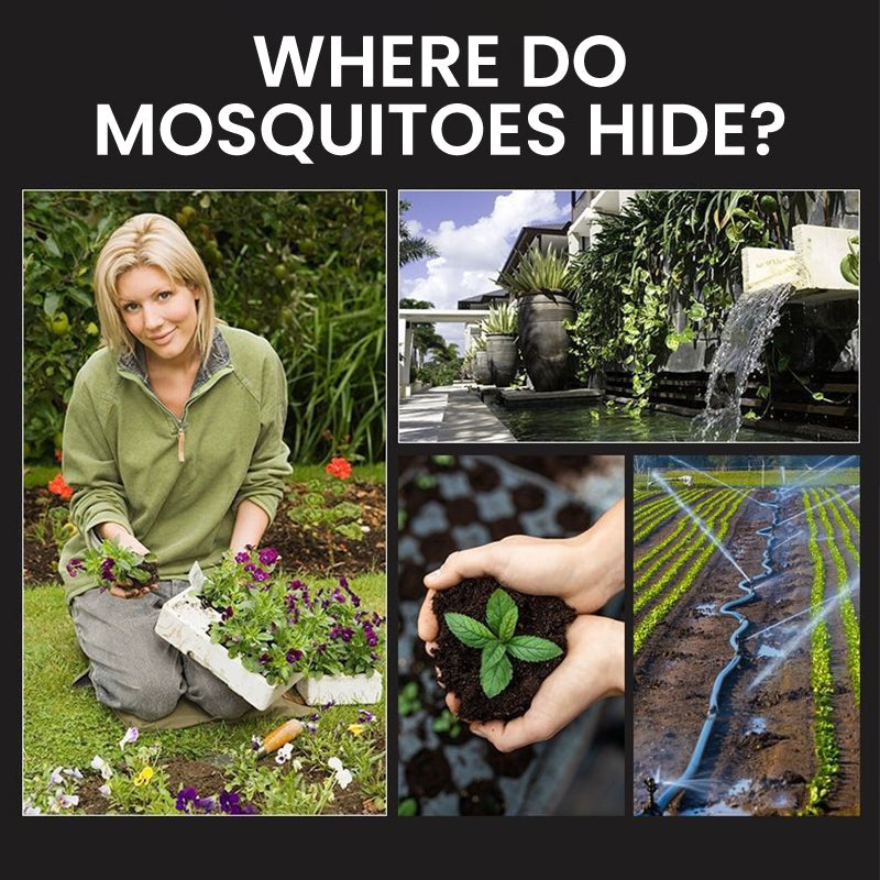 🥳2026 HOT SALE🥳⏰ 50% OFF! Solar Mosquito Zapper Lamp Stake – Auto on/off, dual power, waterproof. Keeps garden pest‑free. 🌙🛡️