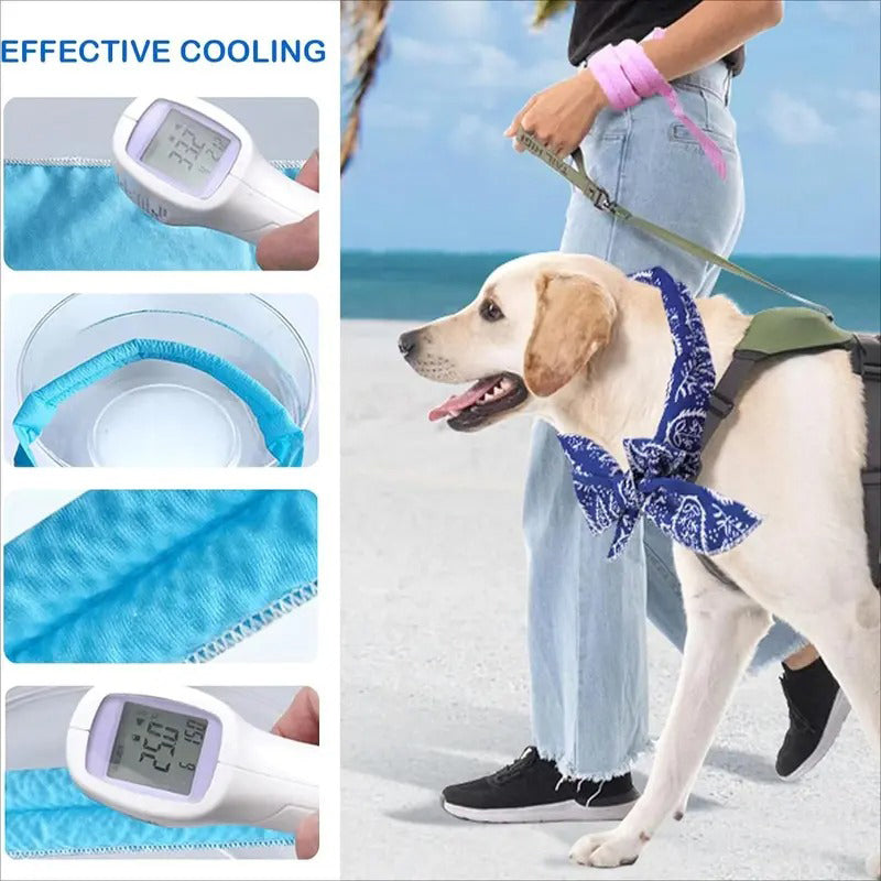 🎀PipPaw™ Cooling Collar – Summer Relief for Dogs & Cats 🌞❄️  Vet-Safe • Reusable • No Freezer Needed • Made for British Heatwaves!