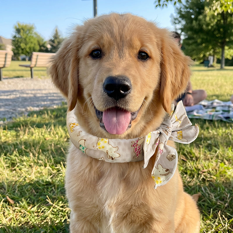 🎀PipPaw™ Cooling Collar – Summer Relief for Dogs & Cats 🌞❄️  Vet-Safe • Reusable • No Freezer Needed • Made for British Heatwaves!