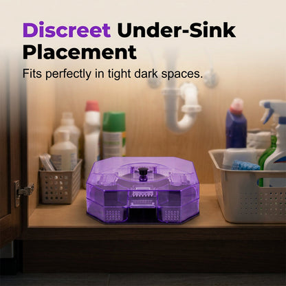 🔥 No More Toxic Sprays! Reusable Roach Trap – Catch & Release (or Dispose) Safely