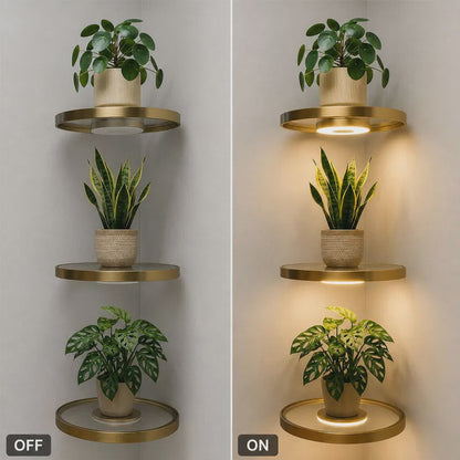 Floating Wall Shelf with Built-in Ambient LED Light