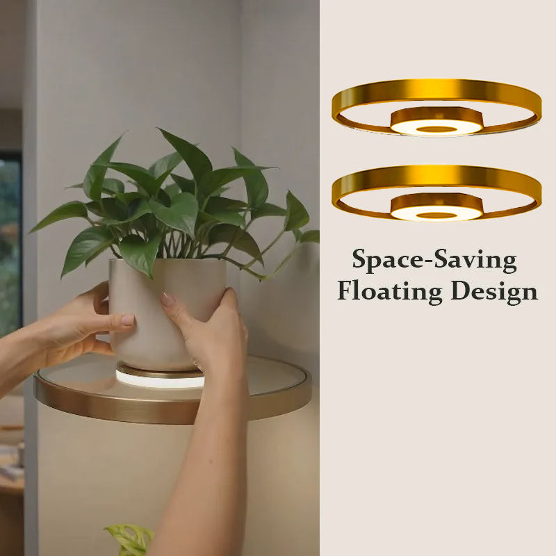Floating Wall Shelf with Built-in Ambient LED Light