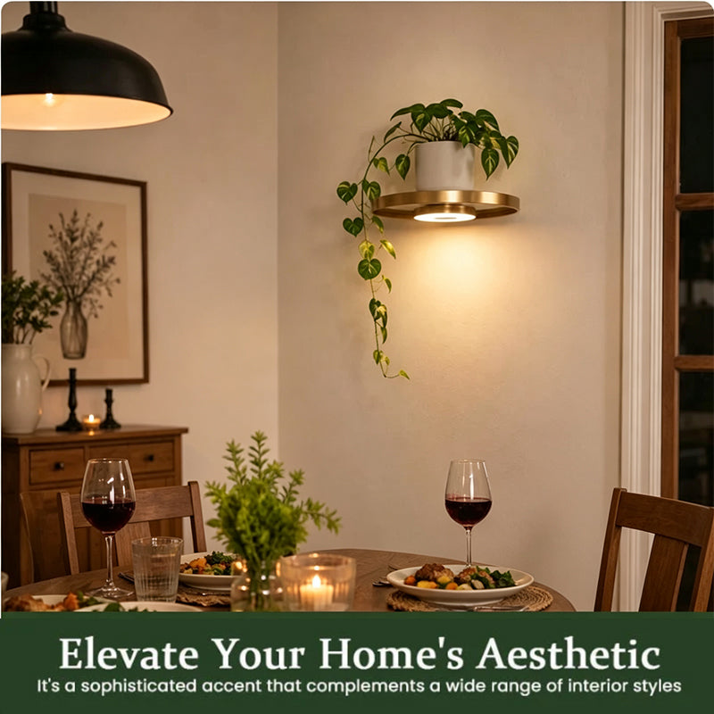 Floating Wall Shelf with Built-in Ambient LED Light