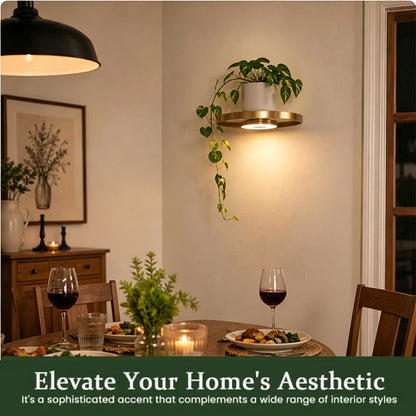 Floating Wall Shelf with Built-in Ambient LED Light